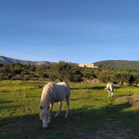 La Encina Del Abuelo Holiday home