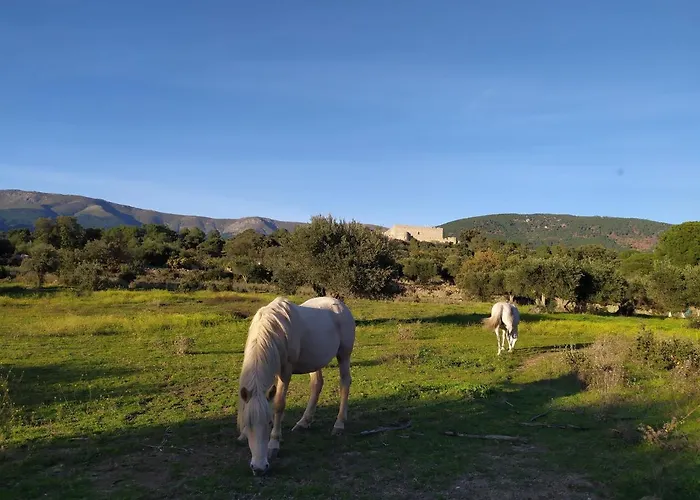 La Encina Del Abuelo Holiday home